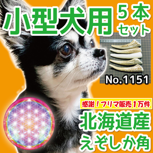 ■ 小型犬用 ■ 5本セット ■ 天然 無添加 北海道産 蝦夷鹿の角 ■ 犬のおもちゃ ■ 鹿角 エゾシカ ツノ 鹿の角 犬 11512