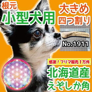 ■ 小型犬用 ■ 根元部分 大きめ！ 四半割り 1本 ■ 天然 北海道産 蝦夷鹿の角 ■ 犬のおもちゃ ■ 無添加 エゾシカ ツノ 鹿の角 犬 19113