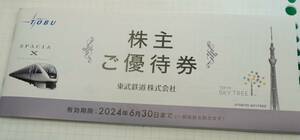 東武株主優待券　2024/6/30まで　大網てんとう虫　16-903-4