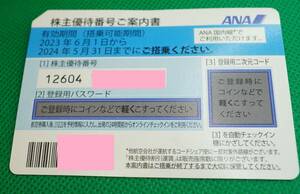 ANA株主優待券　1枚　　2024/5/31　大網てんとう虫　17-120-9