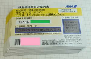 ANA　株主優待券　15枚０24/11/30まで　大網てんとう虫　17-087-9