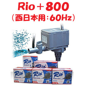 kami is taRio+800 ( west Japan for :60Hz) rio plus submerged pump aquarium for 