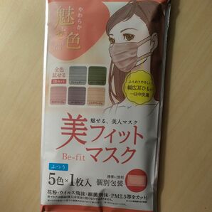 アイリスオーヤマ 美フィットマスク 21年カラー アソートセット ふつうサイズ 個包装 5枚セット 