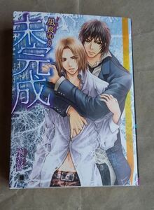 未完成 凪良ゆう 楠本弘樹 花丸文庫BLACK 白泉社 小説 BL ★ 即決 美品 中古本 LVDBL 希少レア