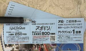 ★東京ドームシティ★アトラクション1回券10枚★有効期限2024年3月31日まで