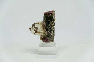 Tourmaline（トルマリン）・水晶共生原石　ブラジル産（ミナスジェライス州） 天然石 原石 鉱物標本