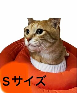 エリザベスカラー 子猫 子犬 ソフト 引っ掻き防止 オレンジ Sサイズ 調整可能