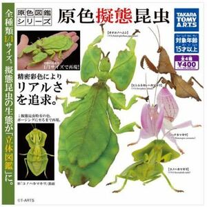 タカラトミーアーツ　原色図鑑シリーズ　原色擬態昆虫　ヒシムネカレハカマキリ　内袋未開封