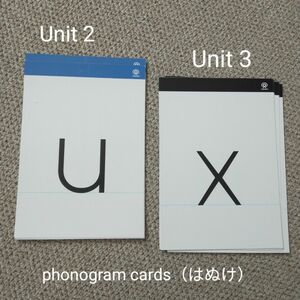 GrapeSEED クラスルーム教材 Unit 2&3 Phonogram cards（不揃い） グレープシード