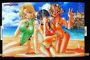 [Vintage] [New Item] [Delivery Free]1990s Megami Magazine？ Langrisser A1Poster BothSides ラングリッサーミレニアム 介錯？[tag2202]