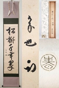 ≪茶掛≫ 表千家 【久田宗也 (尋牛斎)】 春芳堂表具 自筆一行書 『松樹千年翠』 紙本 桐共箱 紙外箱 真筆保証 掛軸 墨蹟