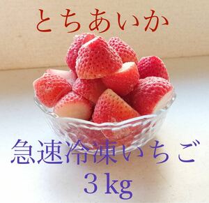 冷凍いちご　3Kg とちあいか　急速冷凍　完熟　栃木県産　カットいちご