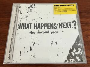 美品 W.H.N ? The Second Year CD What Happens Next ? SPAZZ CONCRETE SOX HERESY napalm death RIPCORD sod suicidal tendencies Beowulf