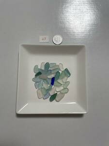 Art hand Auction 43 海草, 手工制品, 内部的, 杂货, 装饰品, 目的