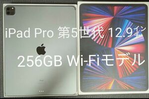 iPad Pro 12.9インチ 第5世代 Wi-Fi 256GB スペースグレイ 2021年モデル