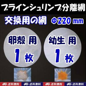 【送料込】ブラインシュリンプ分離網  2種セット 交換用網（各1枚）枠無 濾し網  ミジンコも可 金魚メダカ飼育用品 水槽用品の画像1