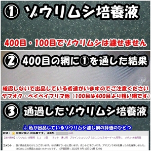 【送料込】分離網3種から計4個 組合せ自由 ゾウリムシ・ブラインシュリンプの分離・ミジンコ用に 濾し網 金魚・メダカ飼育用品 水槽用品の画像4