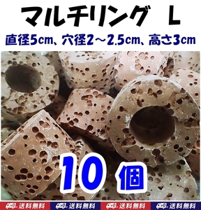 【送料無料】マルチリング L　10個 　メダカ産卵床のオモリ　珊瑚 サンゴ や ウィローモス・等の水草活着用に　シュリンプシェルター