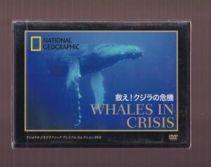 DA★新品★一般DVD★救えクジラの危機　ナショナルジオグラフィック プレミアム セレクション DVD★TDKNGP-F006