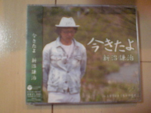 即決　新沼謙治「今きたよ」 送料2枚までゆうメール180円　新品　未開封　演歌CD