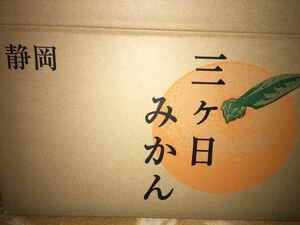 送料無料！でお届け　静岡 　三ケ日　デコポン　サイズ　写真２／３くらい　10k 箱に梱包　④