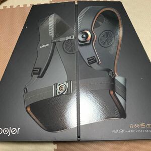 Woojer Edge VR Haptic Best Model No. wjrve101