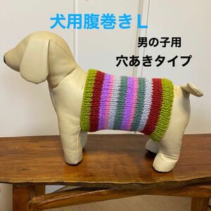 犬用腹巻きＬ　男の子用　H-314