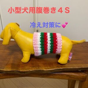 小型犬用腹巻き4S H-307