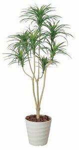  photocatalyst human work decorative plant light. comfort . yucca 1.6m 173A250