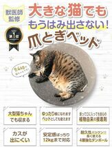 【大きな猫でもはみ出さない】 猫 爪研ぎ 大きいサイズ 爪とぎ にゃんこの宿_画像2