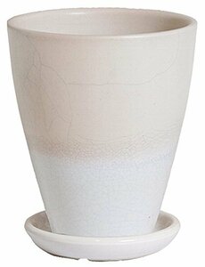 プラスガーデン 植木鉢受皿セット トレーネロング Φ250ｍｍ 底穴あり チタンホワイト 信楽焼 535-11