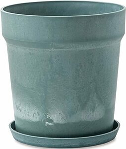 poshu living urban растения pot solid кудрявая капуста Φ32.5×H34cm 81059