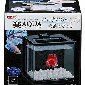 ジェックス GEX AQUARIUM 楽アクア ブラック 水換え簡単コンパクト水槽ベタ飼育W16×D17×H16cm 約2.1Lの画像7