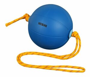 NISHI (ニシスポーツ) スウィングメディシンボール 3kg T5913