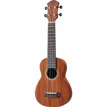 ソプラノウクレレ アヌエヌエ aNueNue aNN-S3 Solid Mahogany I Soprano Ukulele_画像1