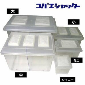 シーラケース プラスチック【コバエをシャットアウト！】昆虫飼育ケース クワガタ用 コバエシャッター【中】フタ・本体の画像5