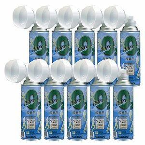  Iwatani (Iwatani) pure oxygen can 10 pcs set NRS-1