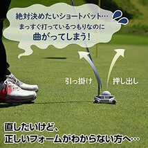 ダイヤゴルフ(DAIYA GOLF) パッティングマット パッティング練習器 ダイヤプロパットアーム465 TR-465_画像4