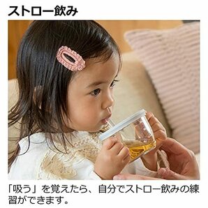 リッチェル アスター プラスチック おうちコップマグ ストロータイプ ライトグレーの画像7