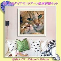 Tubame stall 15 猫茶色 ダイアモンドビーズ絵画 刺繍キット 5D ダイアモンドカラーストーン 刺繍キット クロスステッチ刺繍キッ_画像3