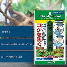 テトラ (Tetra) アルゴパトロール 45 コケ 抑制_画像4