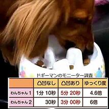 ドギーマン ゆっくりデコボコ食器 犬用 M サイズ_画像2