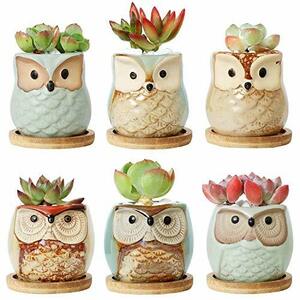 T4U 6CM ceramics pot succulent plant pot cactus pot planter Mini bottom hole bamboo made saucer attaching owl series 6 piece entering .. 