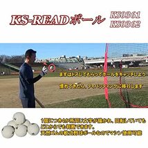 バッティングトレーニングボール KS-READ(リード)ボール1P 「た」 文字ボール 動体視力トレーニング_画像4