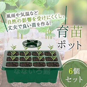 （なないろ館）育苗ポット 6個セット 育苗トレイ 苗箱 種まき 発芽 育成 苗 野菜 植物 家庭菜園 水やり ハウスの画像2