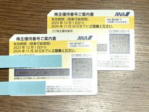 迅速対応！　コード通知　ANA　全日本空輸　全日空　株主優待券　２枚　有効期間２０２４年１１月３０日まで