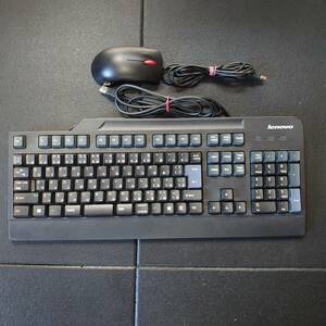 ジャンク レノボ キーボードSK-8825(L)/マウスM-U0025-O セット品 Lenovo