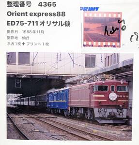 4365】「ORIENT EXPRESS 88」ED75-711　1988年（ネガ＆プリント）