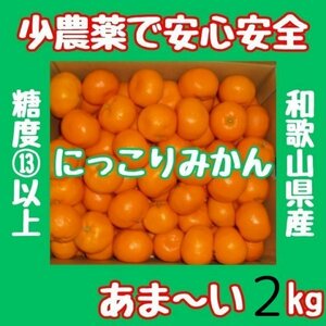 最後の案内 百貨店では買えない 甘すぎる B級 ほとんど無農薬 みかん 2kg 和歌山県産