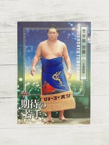 ☆ BBM2021 大相撲カード レギュラーカード 74 期待の若手 豊昇龍智勝 ☆